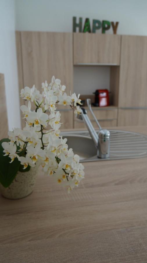 Les Palmiers - Vacation Home Saint-Xandre Luaran gambar